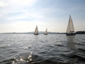 2023_09_17_Vereinsregatta-23